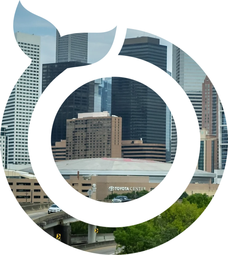 Mobile app developers Houston