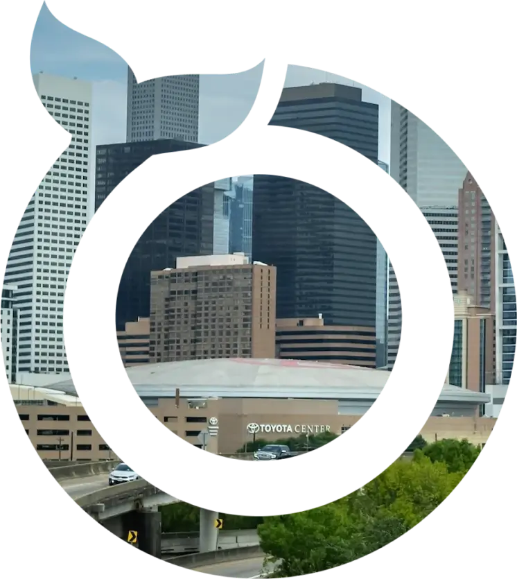 Mobile app developers Houston